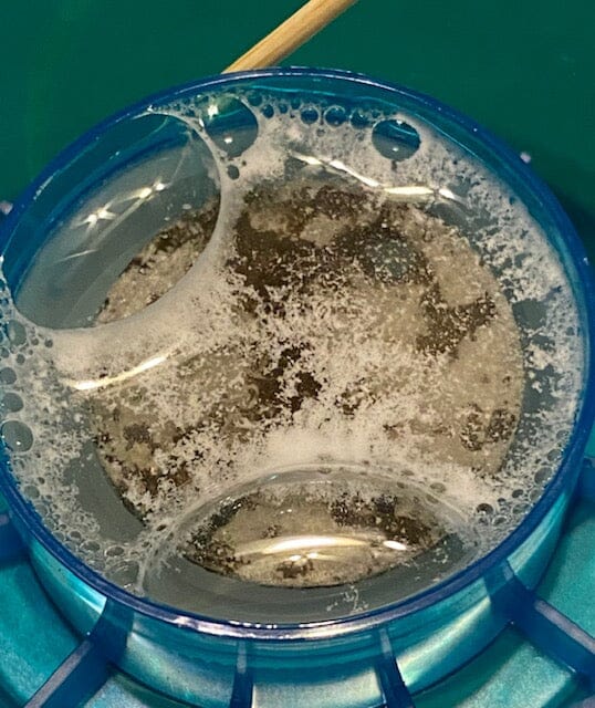 Cleaning Tokens Found Metal Detecting Using BU Plus Coin Cleaner