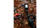 Minelab MANTICORE + PRO-FIND 40 + M9 Coil + Backpack Bundle