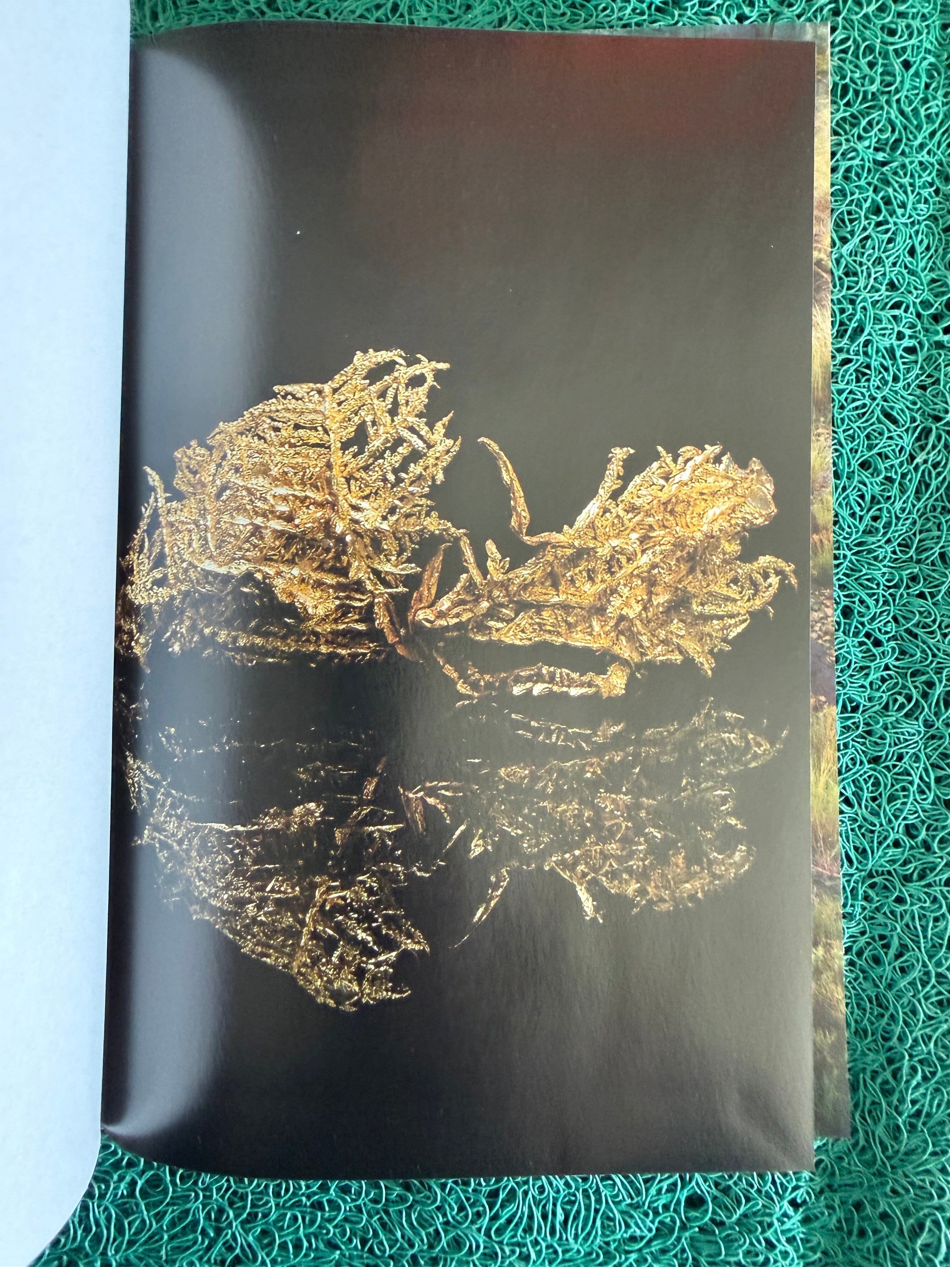 Rocks, Minerals & Geology of the Pacific Northwest