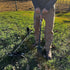 DragonXT 36" Professional Metal Detecting Shovel