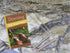 Dowsing For Beginners