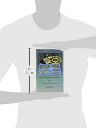 Pulsepower!: Finding Gold at the Shore with a Pulse Induction Metal Detector by Clive James Clynic