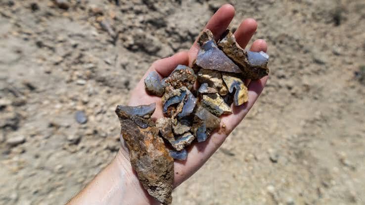 Rockhounding Nevada