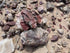 Rockhounding Utah