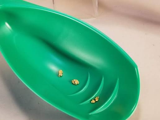 Doc's Gold Spot Scoop – Green or Yellow