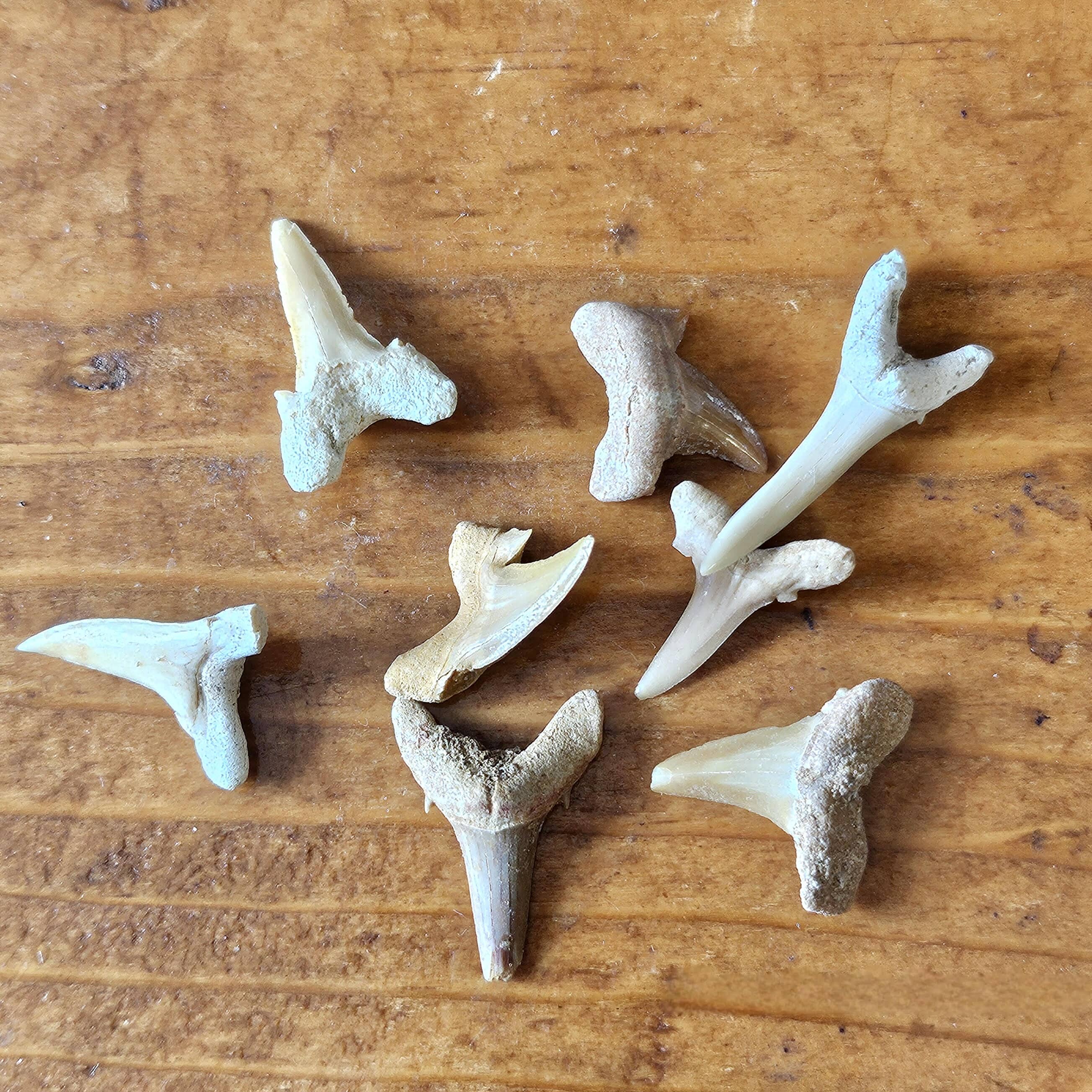 Miscellaneous Mineral Specimens