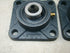 K & M Krushers - Rock Crusher Replacement Bearings for 11" Crusher - 5/8" 4 Bolt Flange