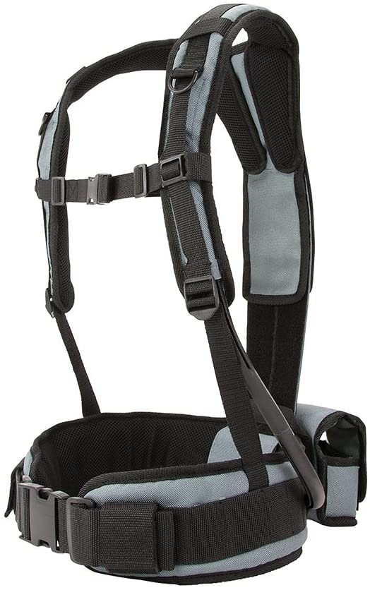 Minelab Pro-Swing 45