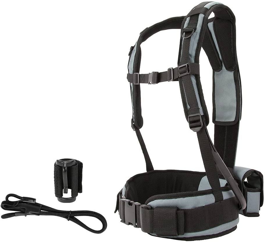 Minelab Pro-Swing 45