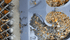 14" x 48" Dredge Mat